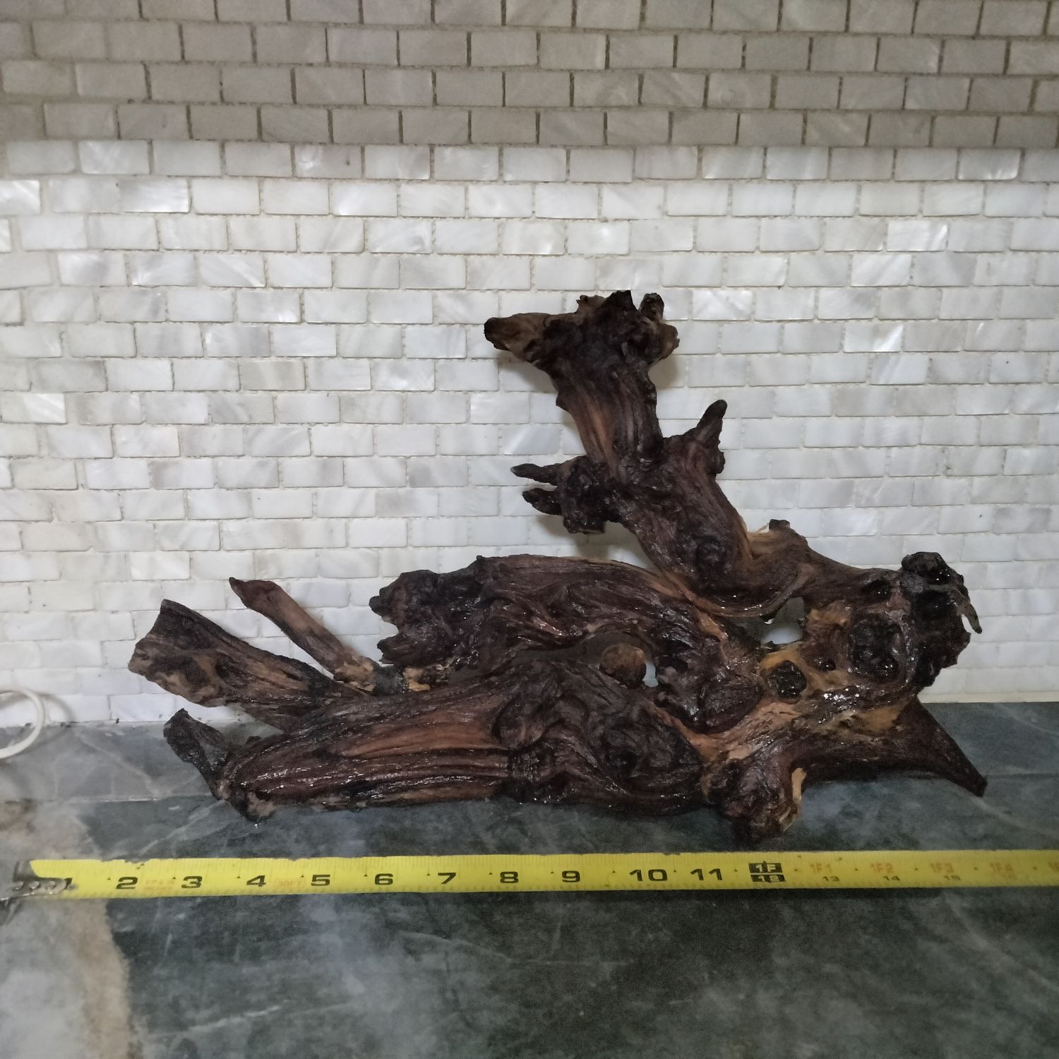 Large coralwood driftwood