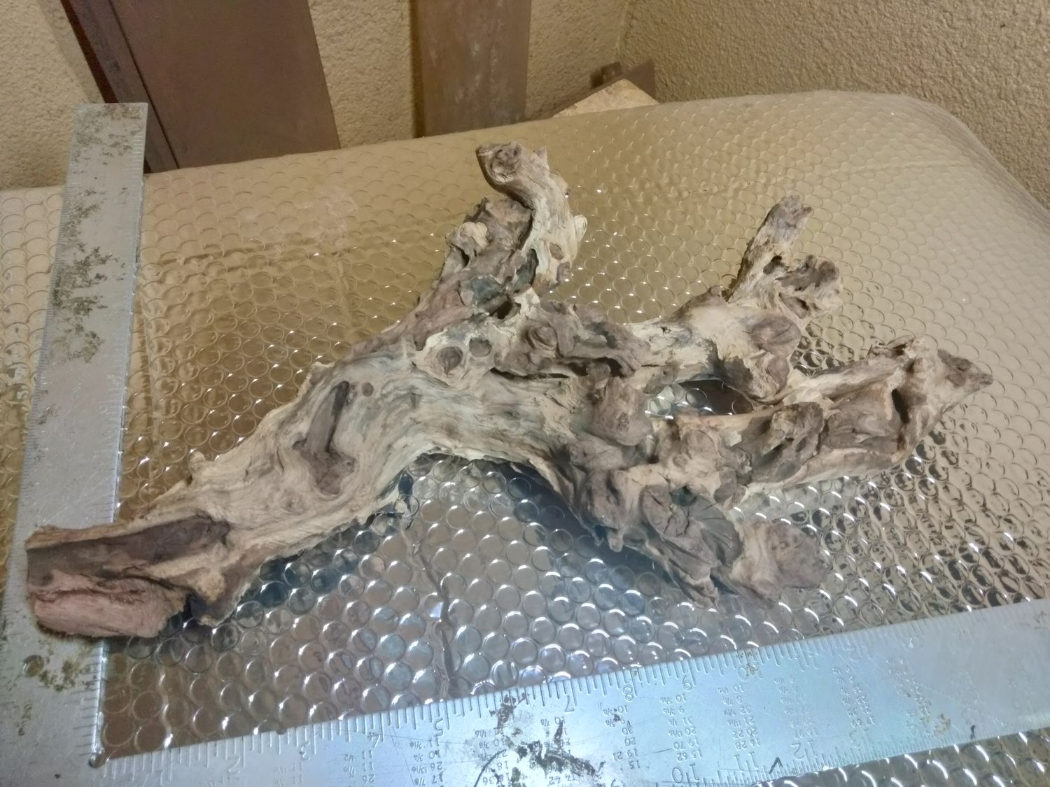 Large coralwood driftwood