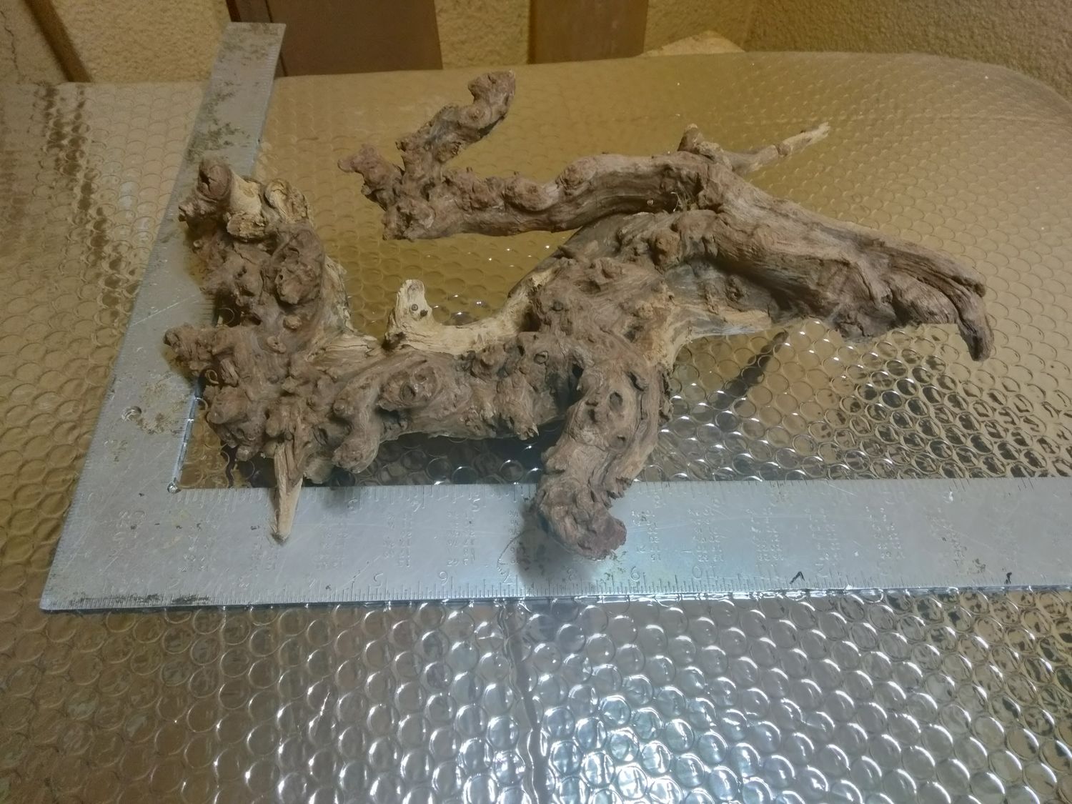 Large coralwood driftwood