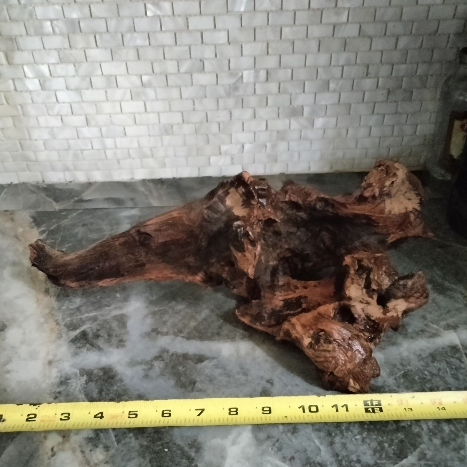 Large ironwood fish hide