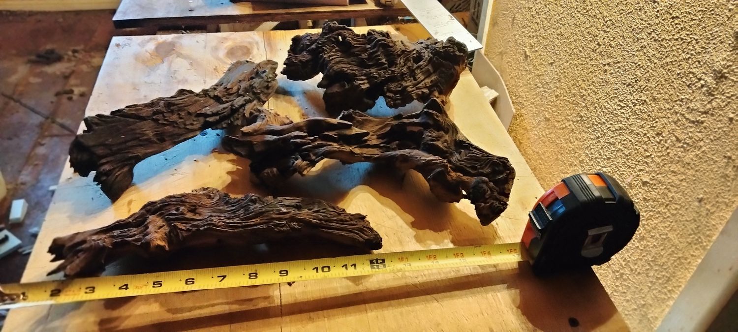 Medium mopani 7-12 inches