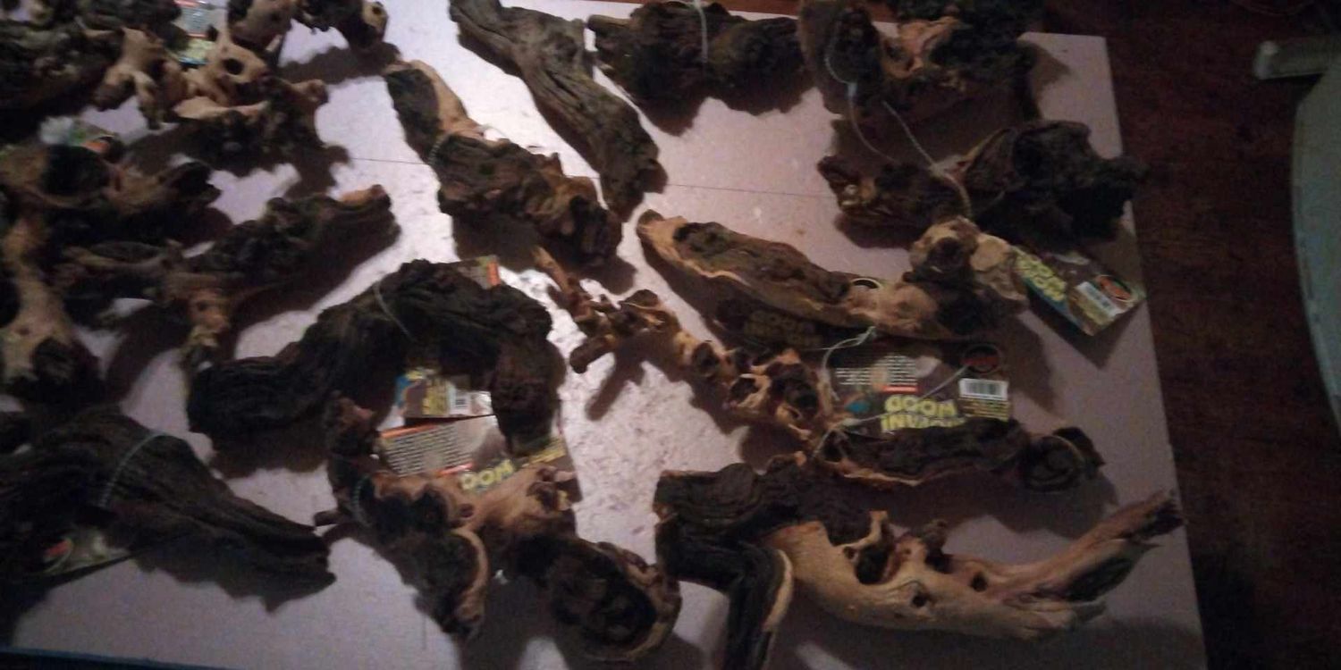 Small mopani 4-6 inch