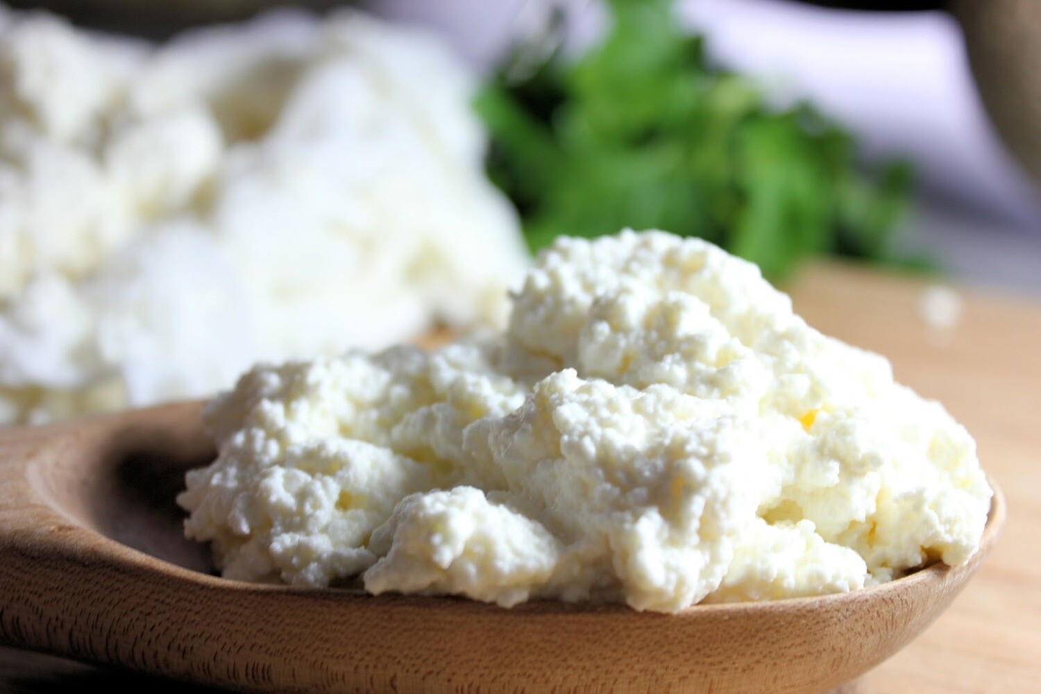 RICOTTA CHEESE TUB