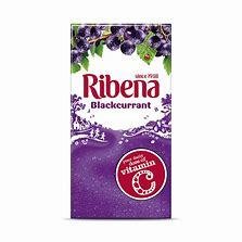 RIBEANA BLACKCURRANT 24X250ML