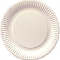 PAPER PLATES 9&quot; 10X100