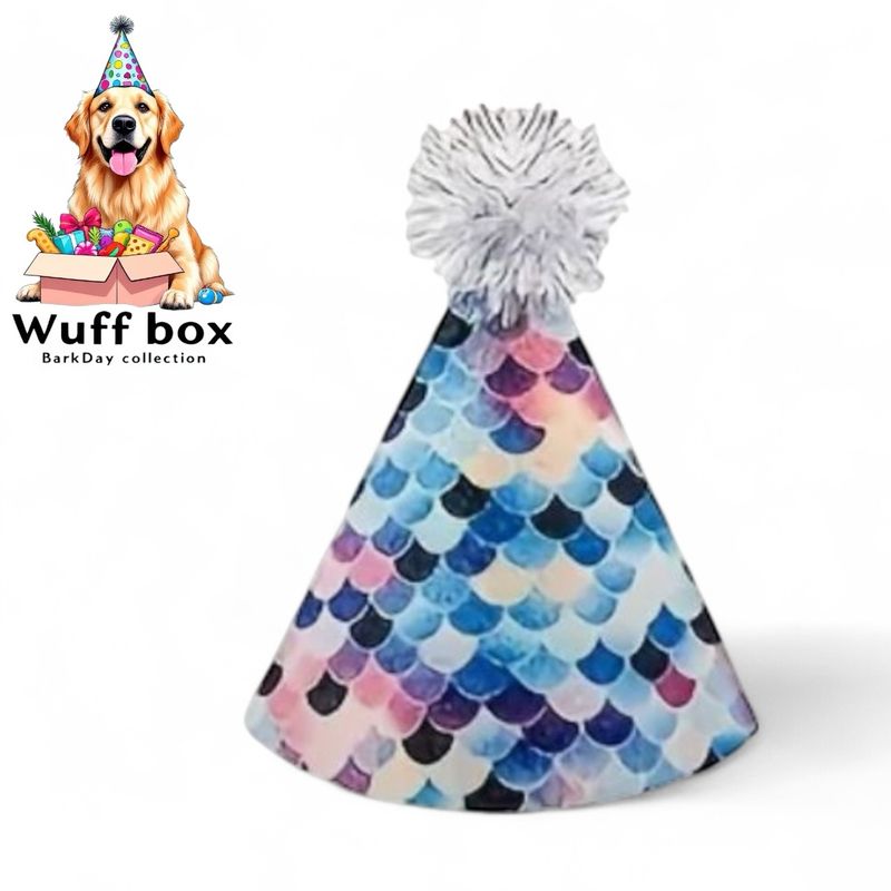 BarkDay Hats