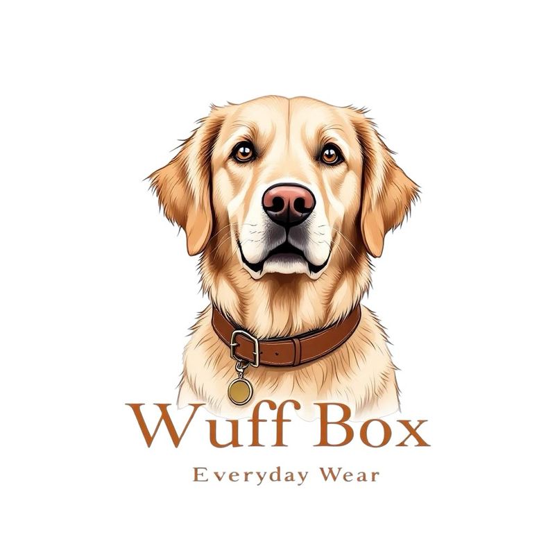 Everyday Wear Collection 