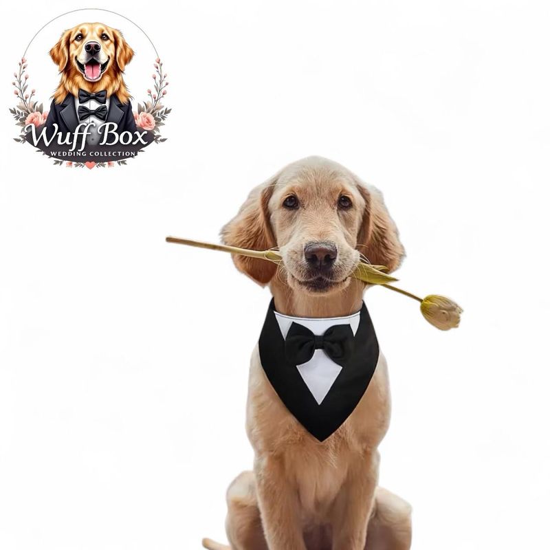 Good Boy Wedding Accessories 