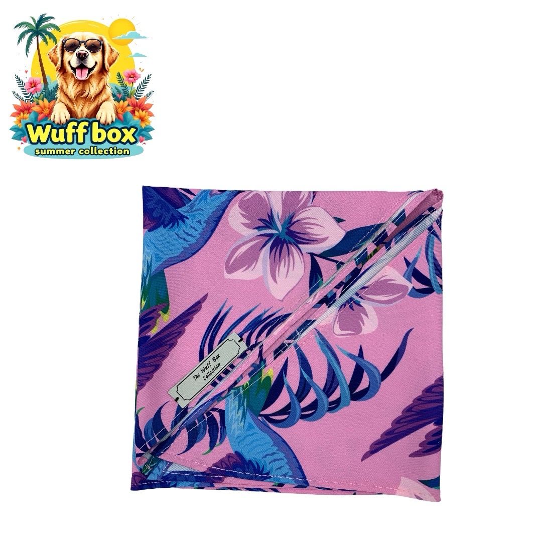 Hummingbird Print Summer Bandana