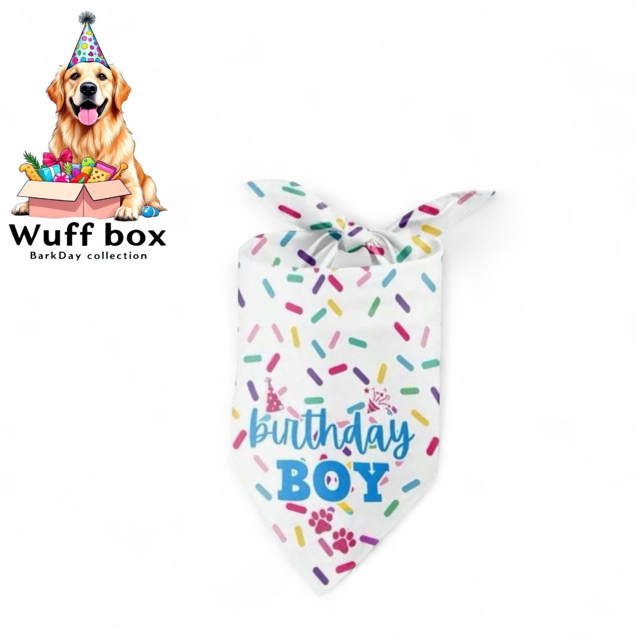 BarkDay Boy Print Bandana