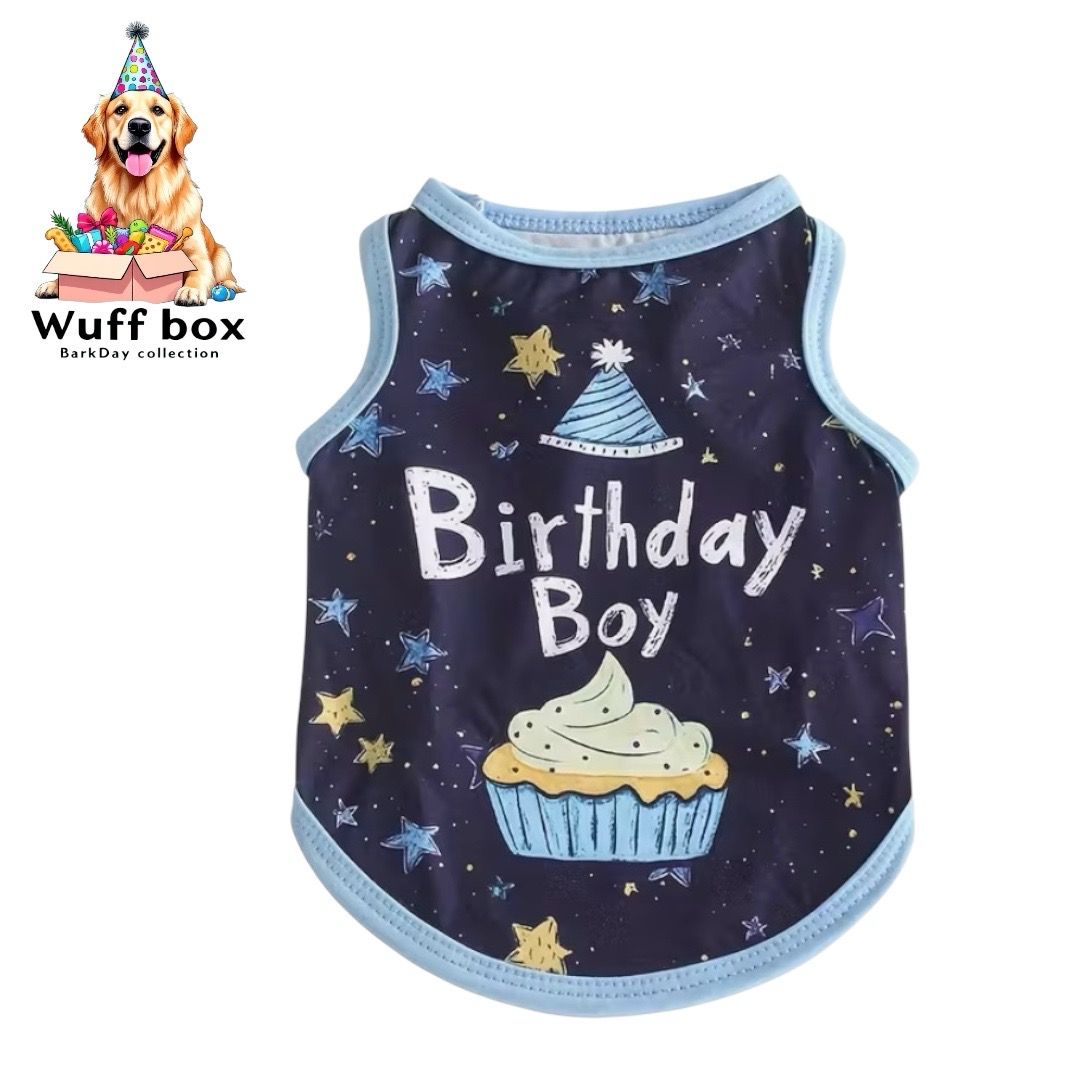 Navy Blue Birthday Boy Tank