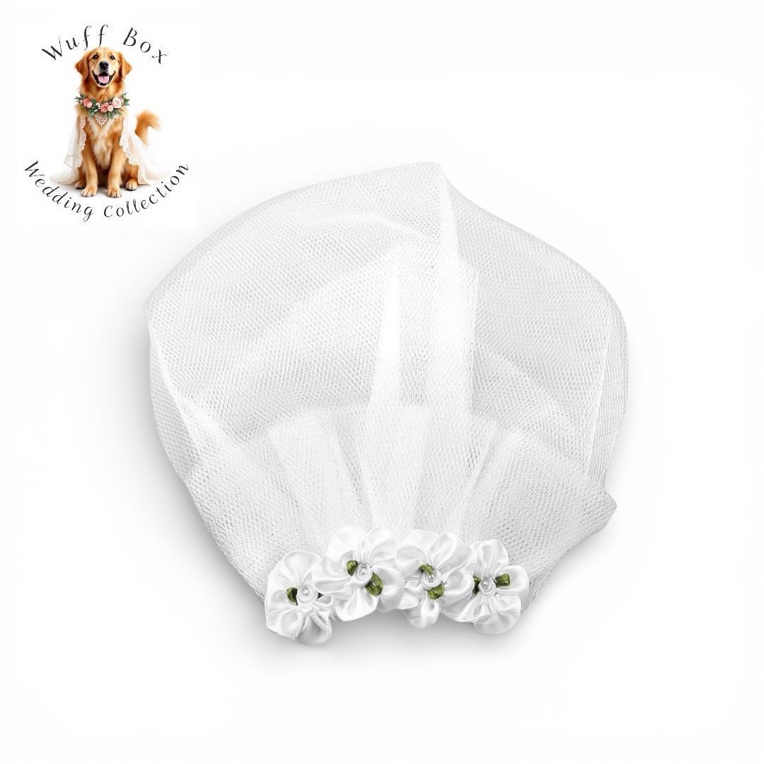 Wedding Rhinestone Veil