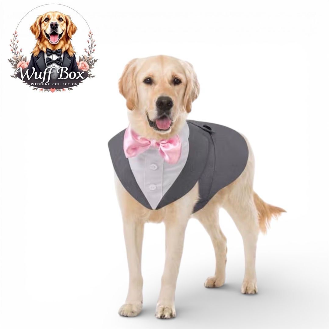 Grey Tuxedo Male Dress