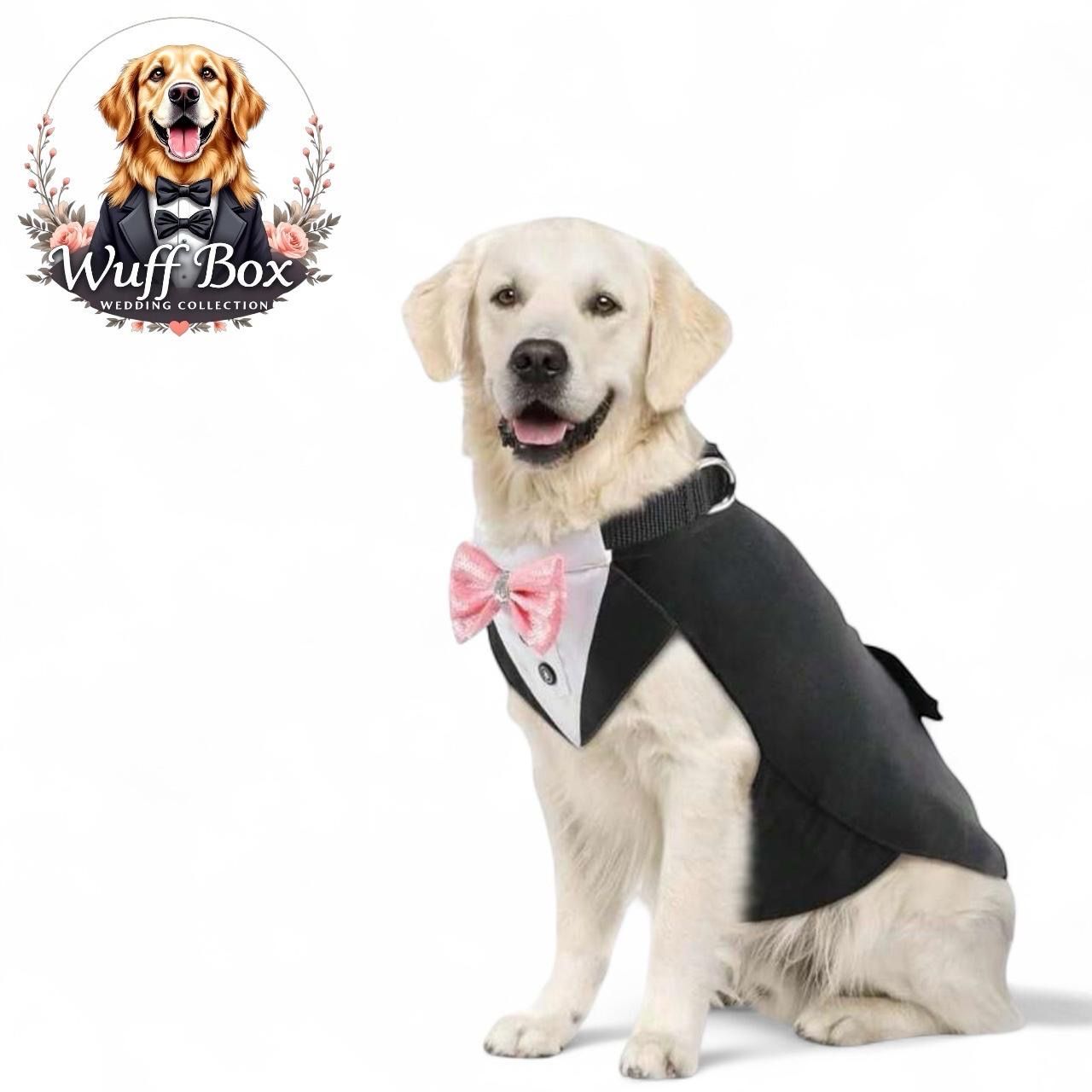 Black Tuxedo Male Dress