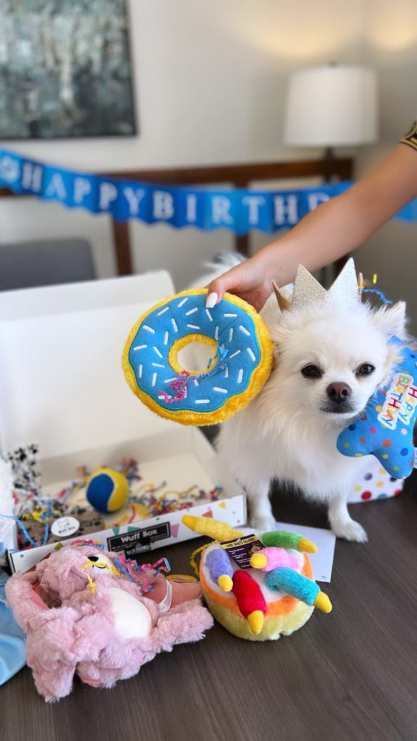 Goob Boy BarkDay Wuff Box
