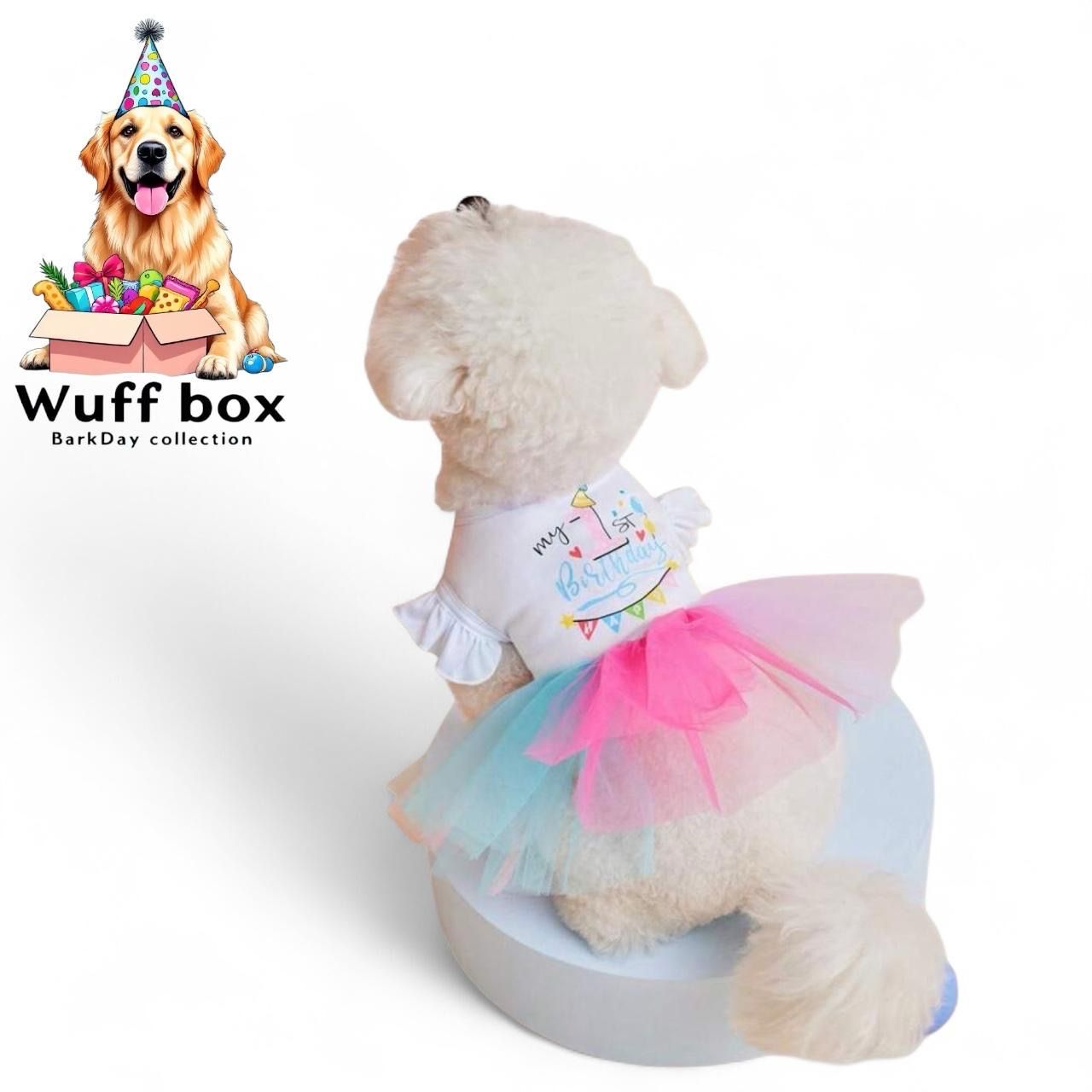 “My 1st Birthday” Tutu Dress