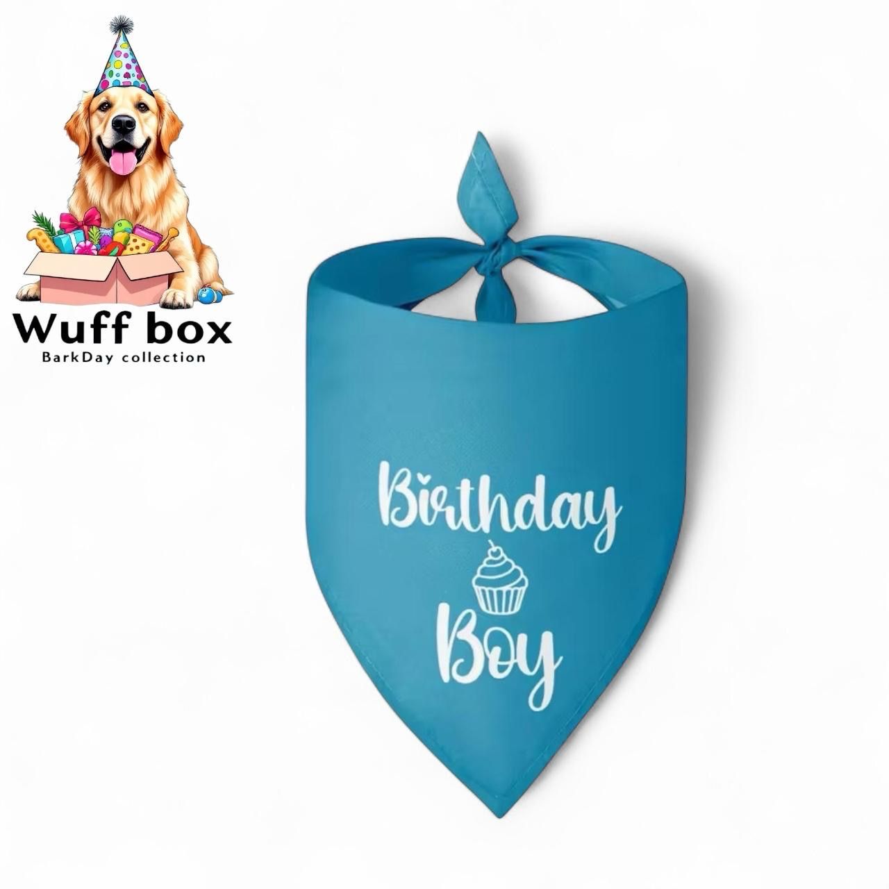 Birthday Boy Print Bandana