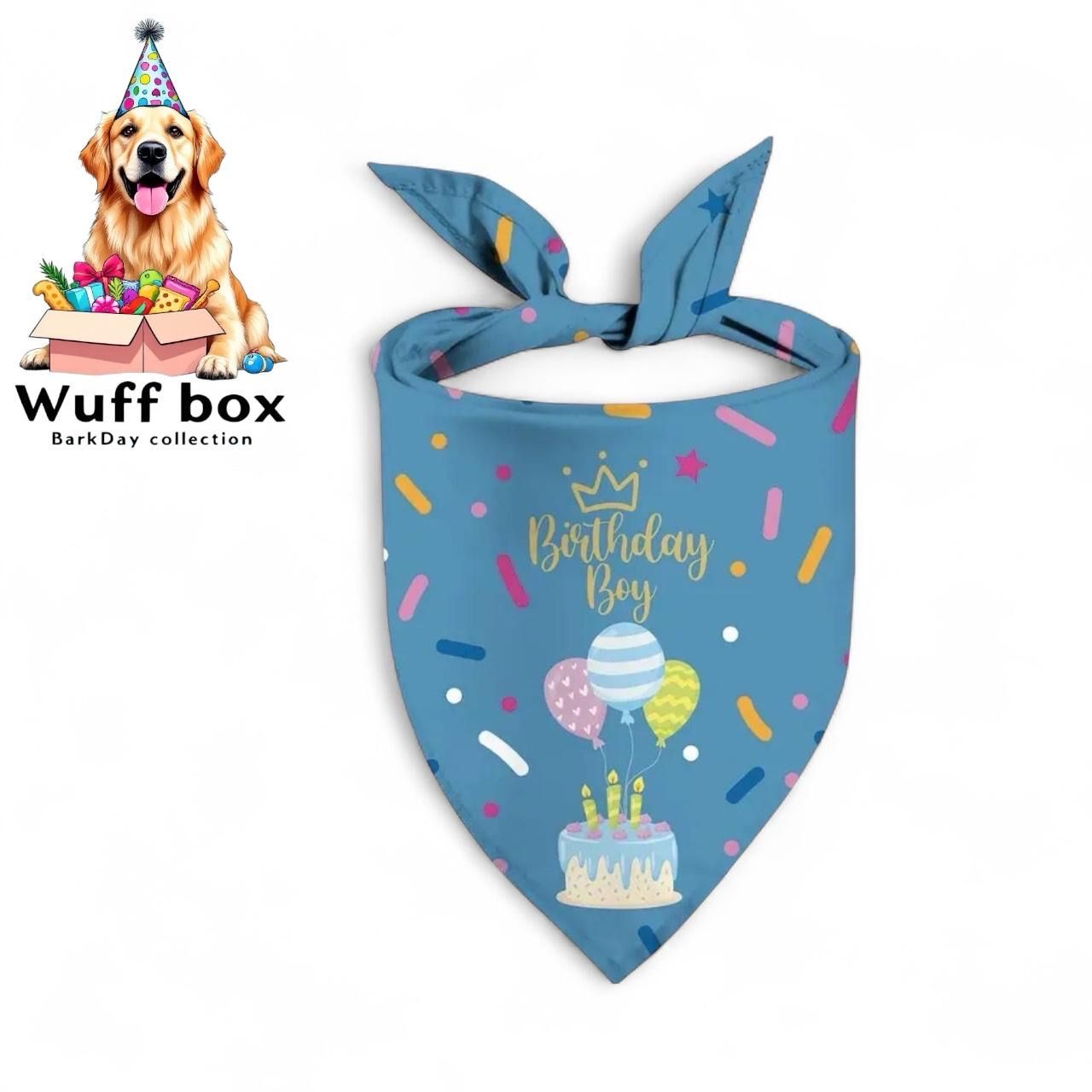 Birthday Boy Themed Bandana