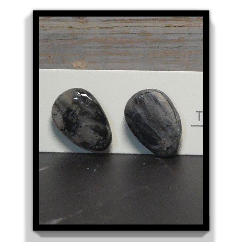 Collection des Miss Élégance Marbrée