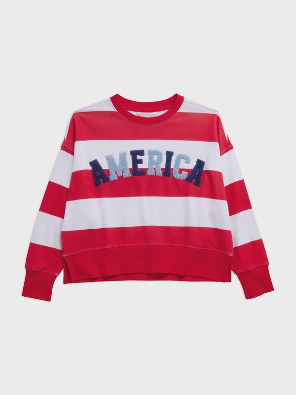 Rugby Shirt America