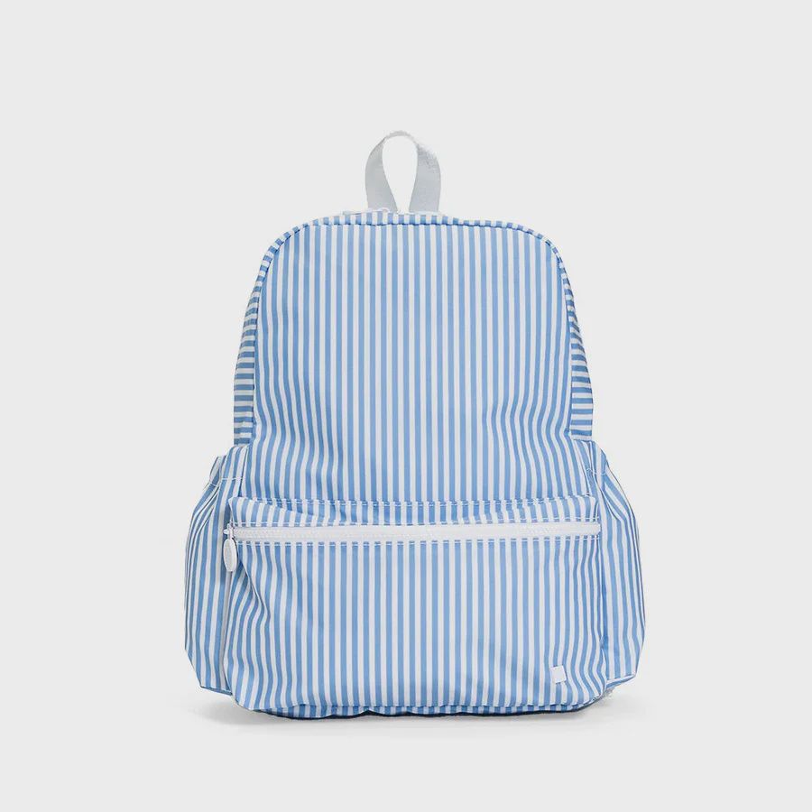 Pimlico Stripe Chambray-Mini Backer