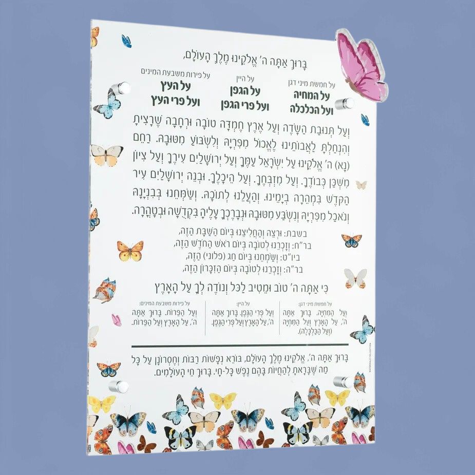 Asher Yatzar - Colored Butterflies - 6x14