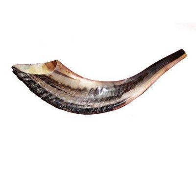 Shofar #7