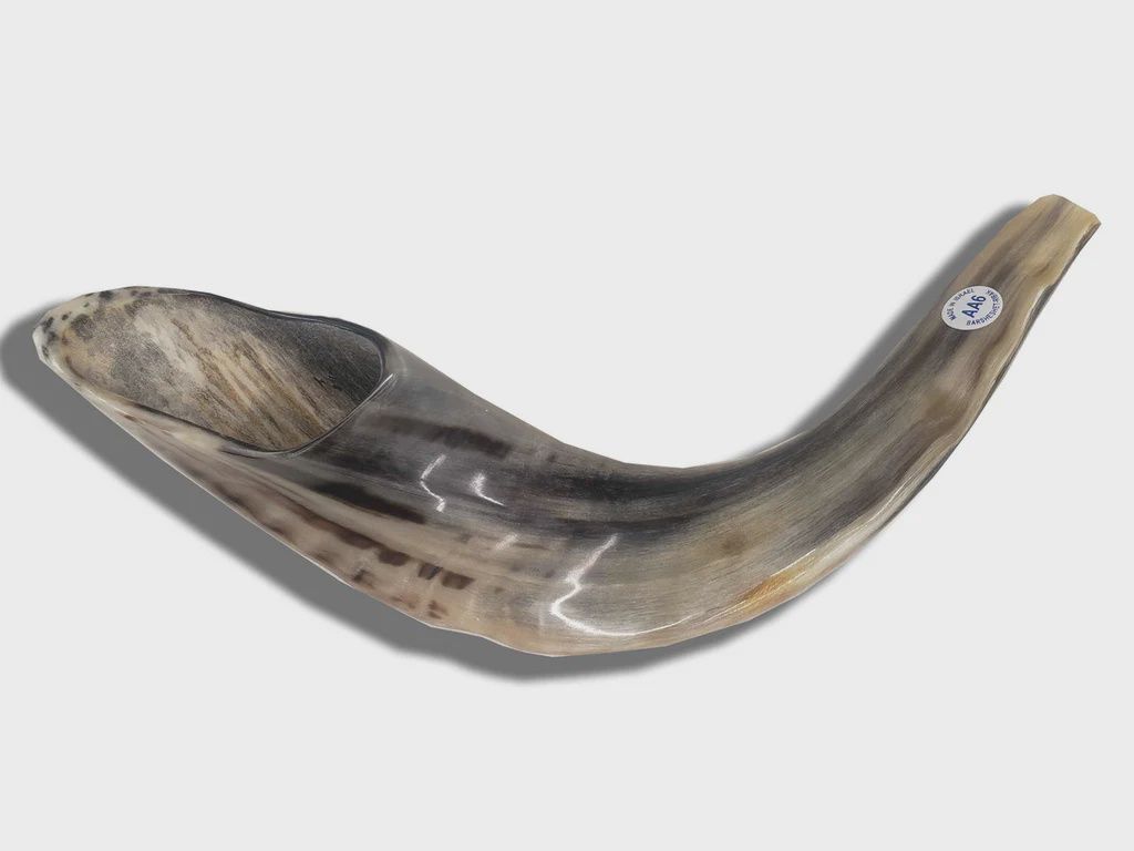 Shofar #6A
