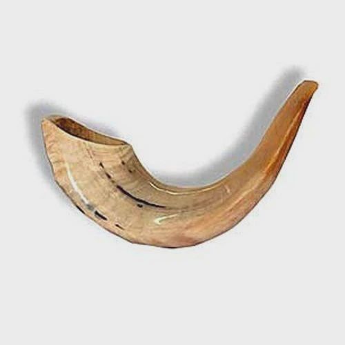 Shofar #7A