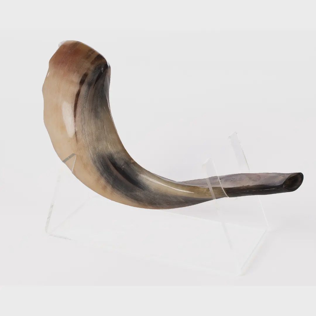 Shofar #5A