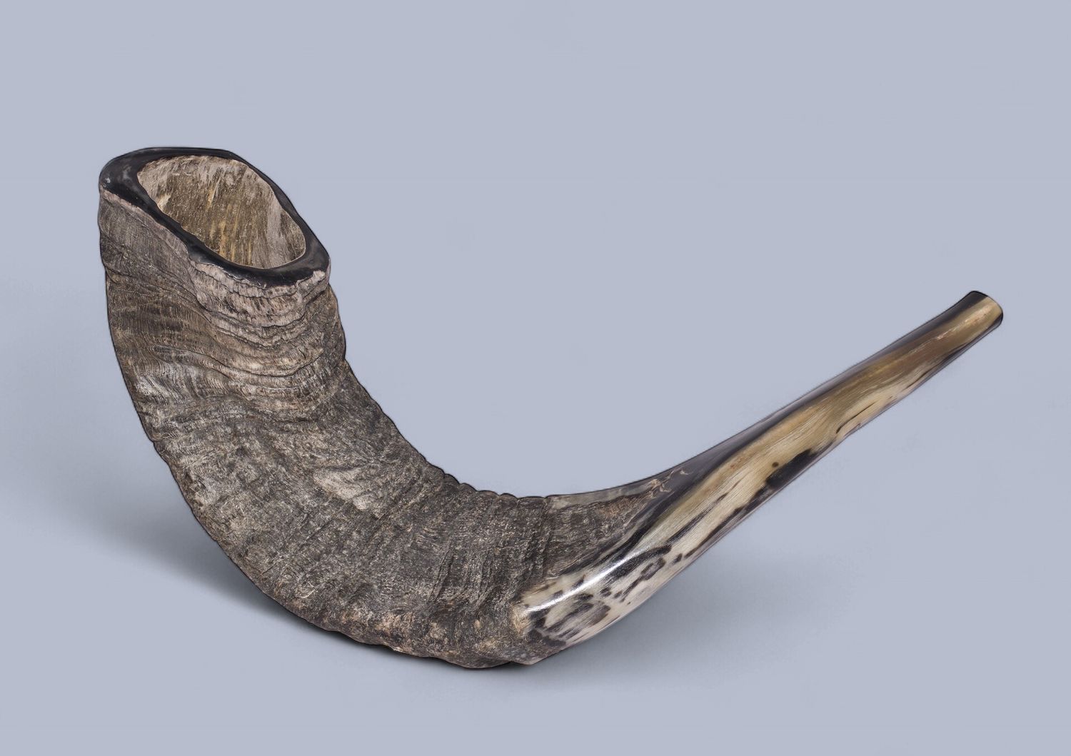Shofar #3