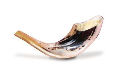 Shofar #5B