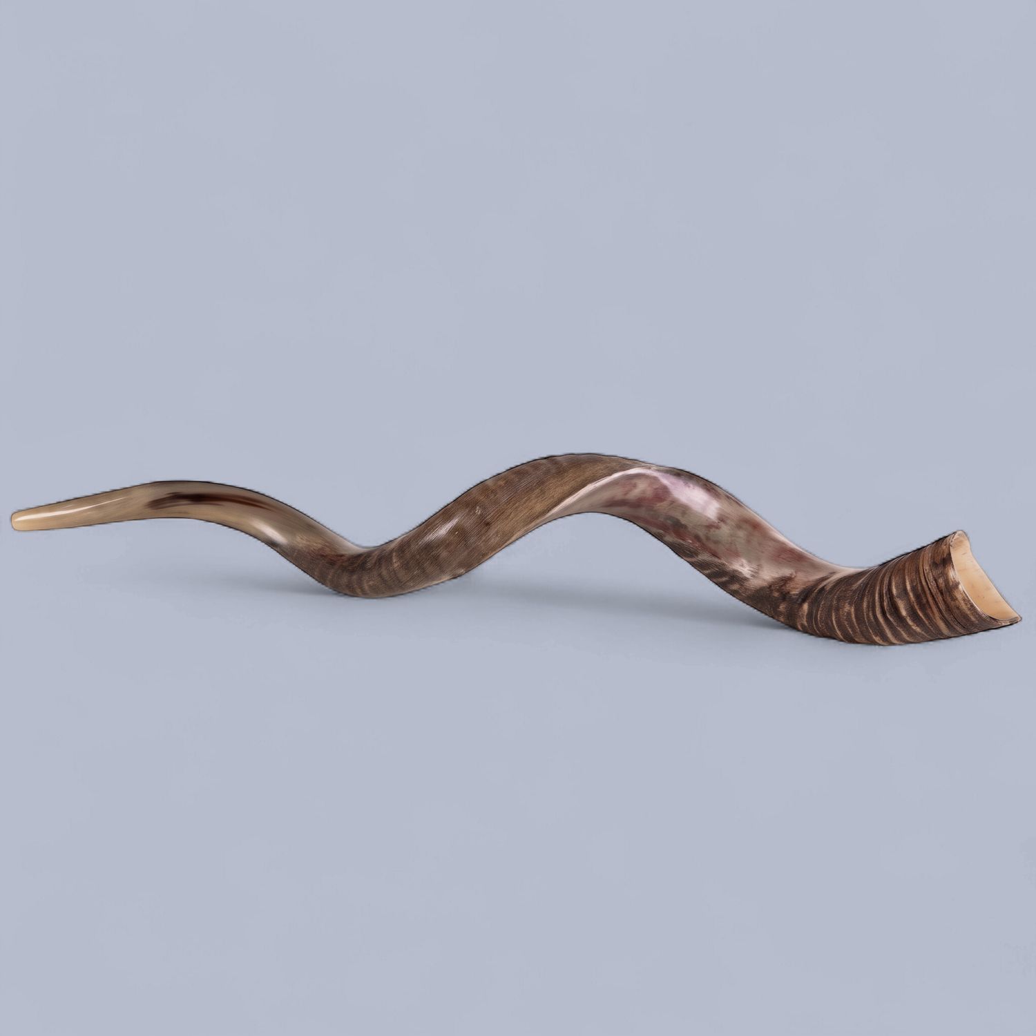 Kudu  Shofar  XL