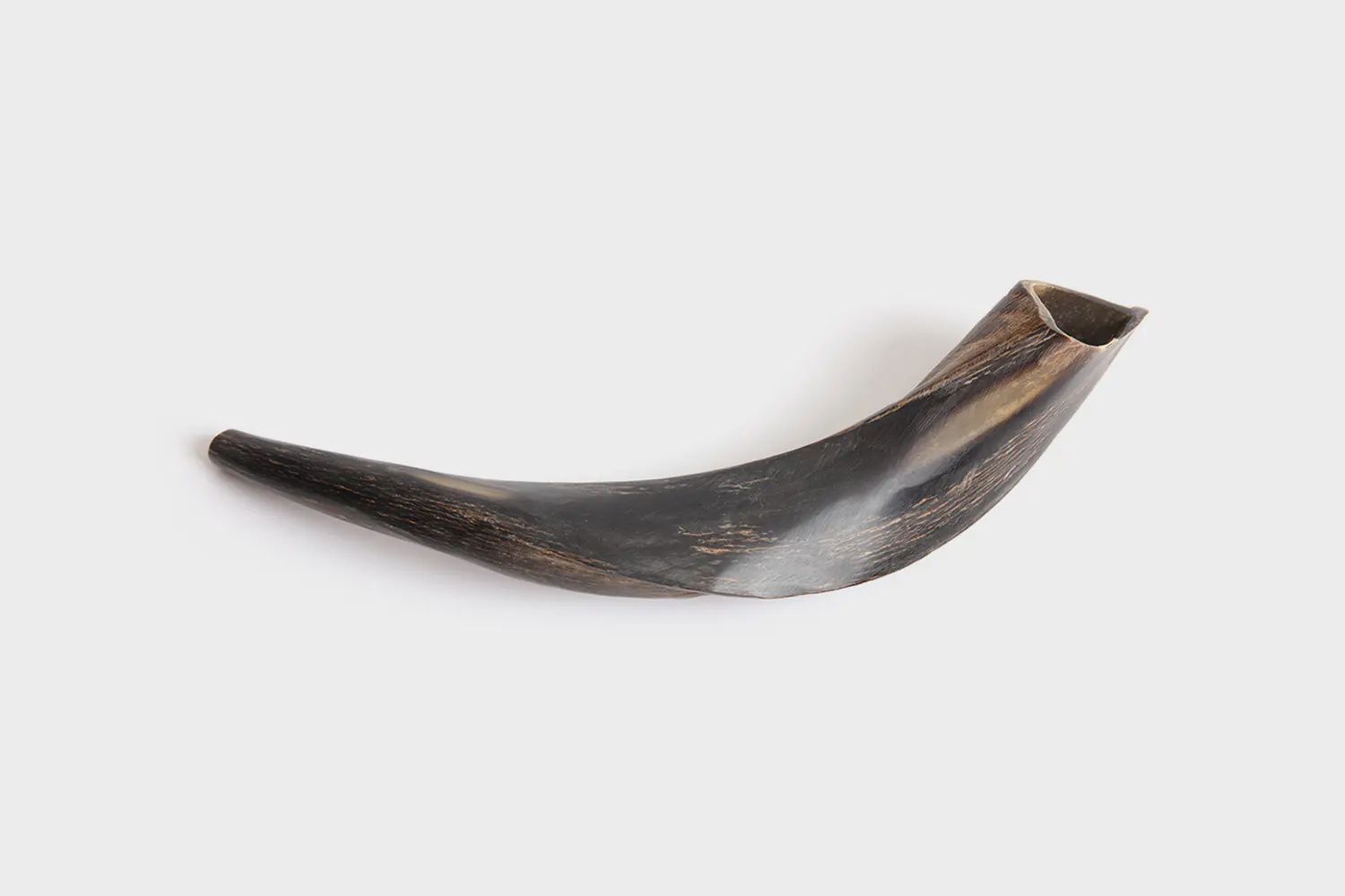 Kudu Shofar  S