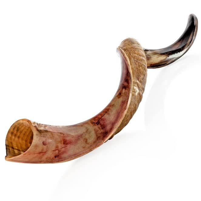 Kudu Shofar -L