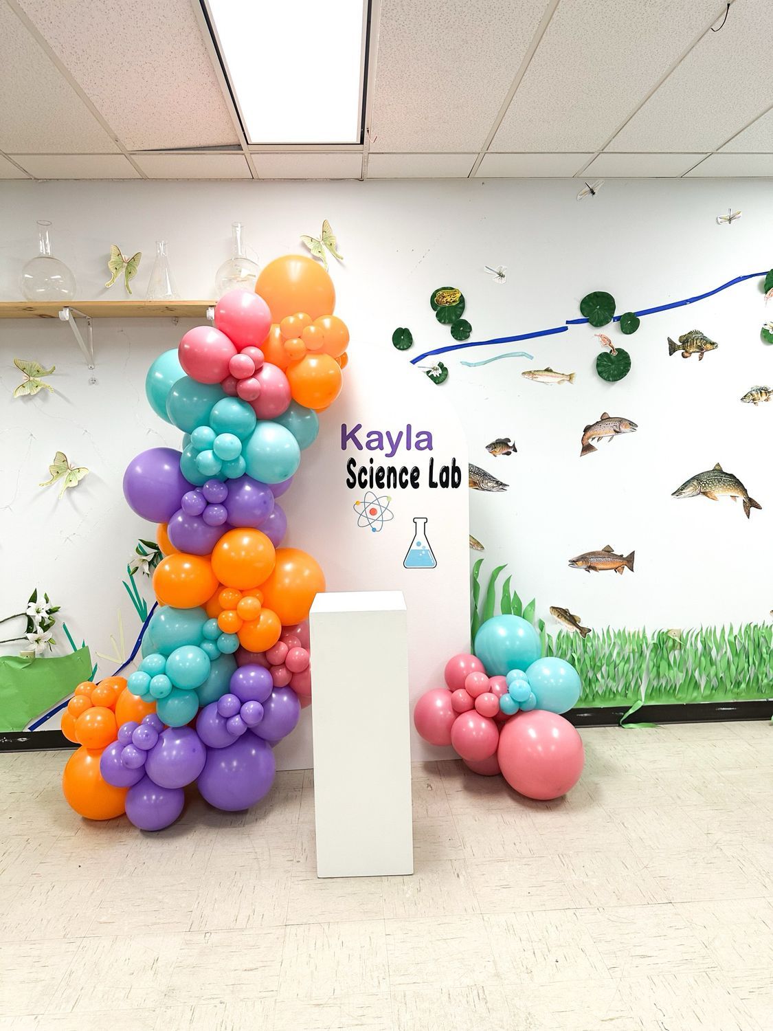 Lala's Basic package