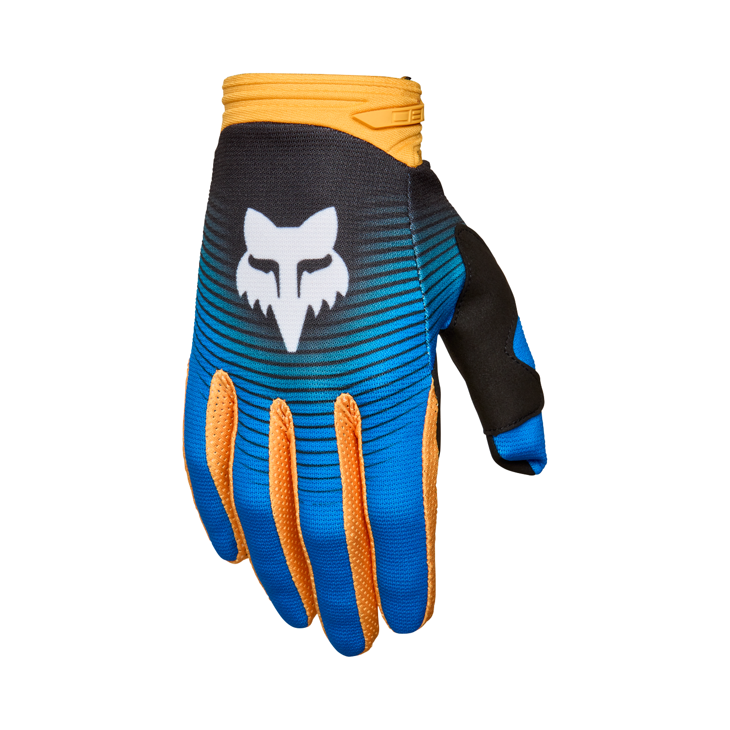 FOX 180 Collect Glove