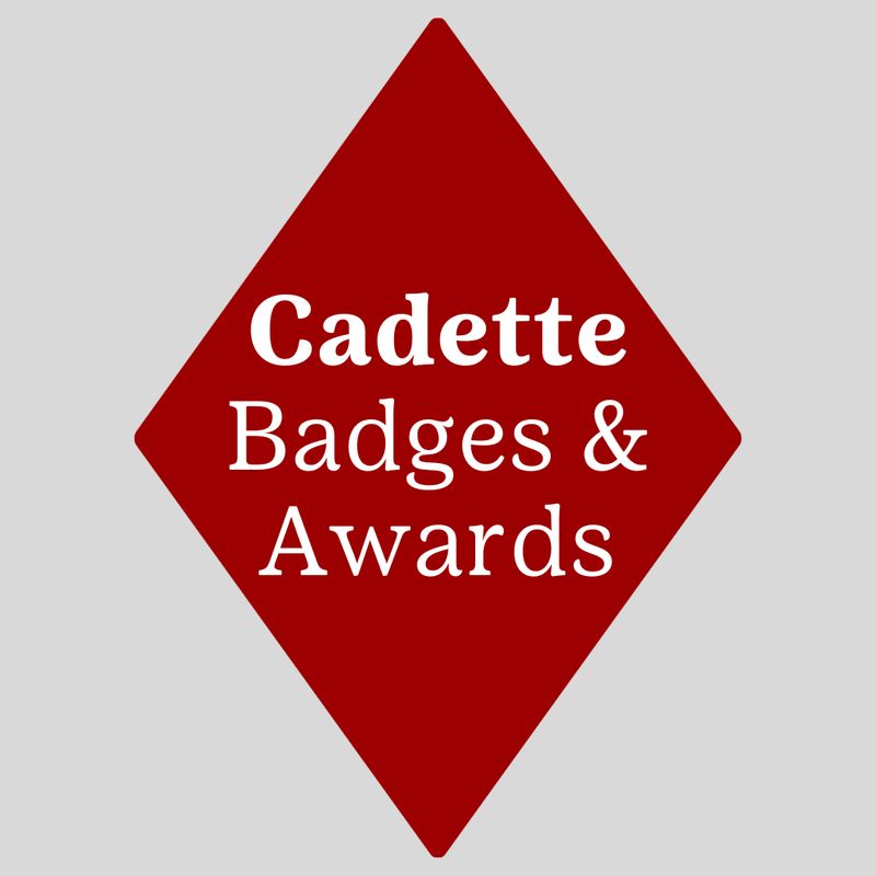 Cadette Badges &amp; Awards