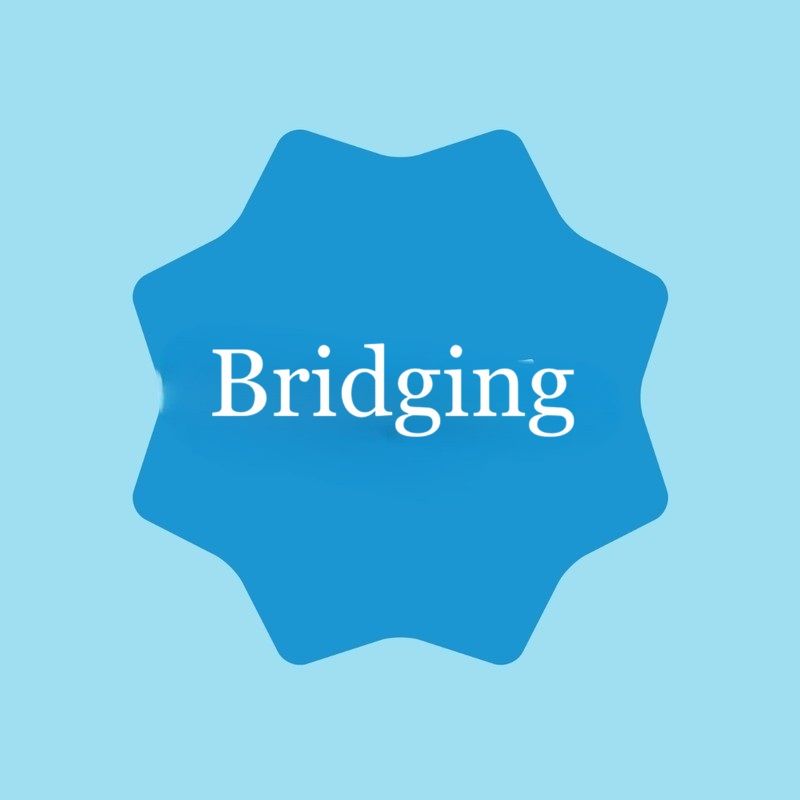 Bridging