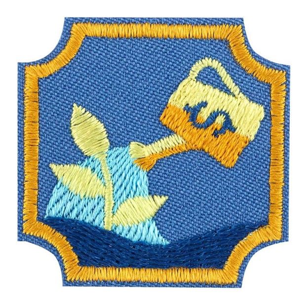 Ambassador Financial Planner Badge