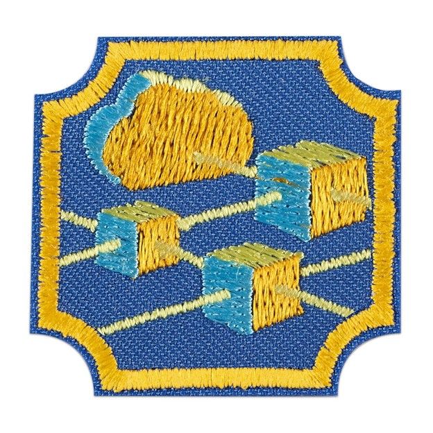 Ambassador Cybersecurity Basics Badge