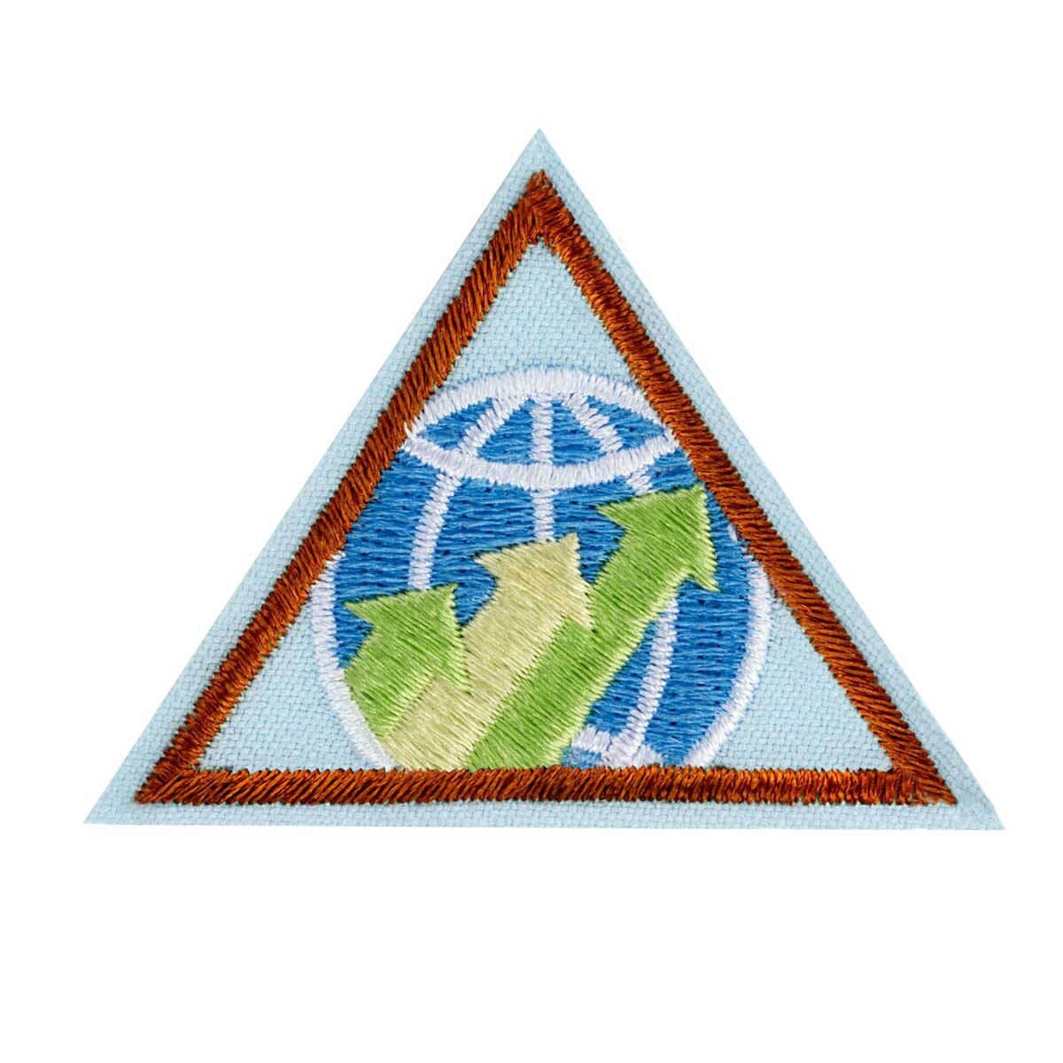 Brownie Global Action Award - Year 2