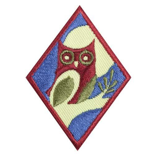 Cadette Night Owl Badge