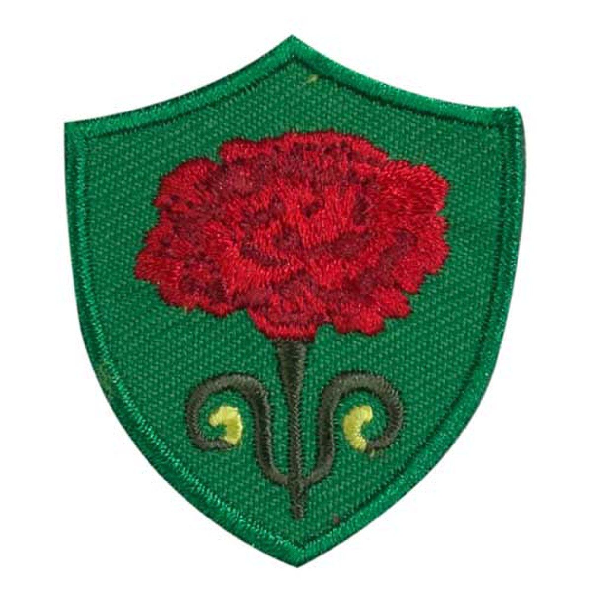 CARNATION TROOP CREST