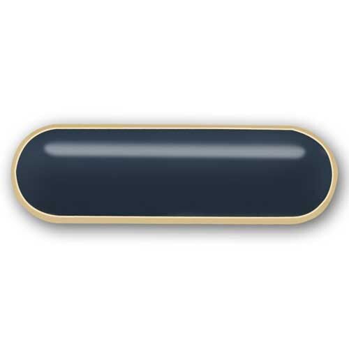 National Board Officers Position Pin