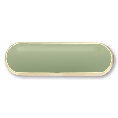 Council Board And Board Committee Member Position Pin