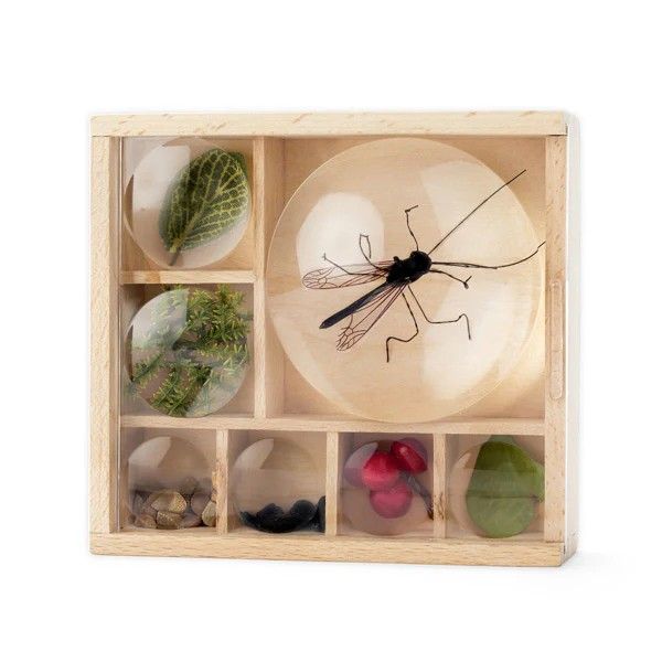 Huckleberry Bug Box