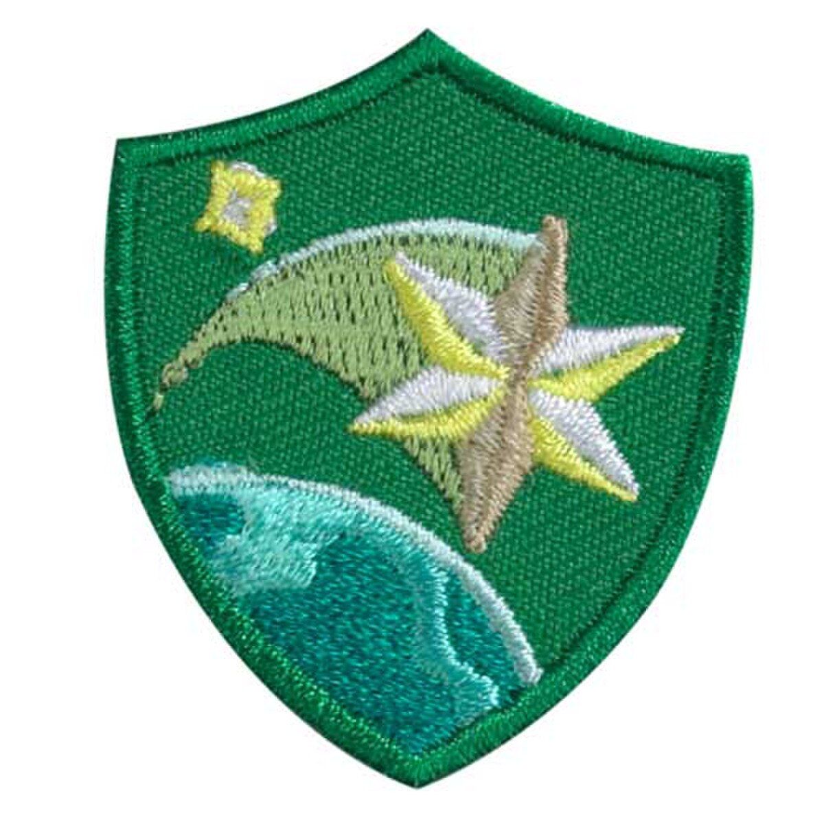 SHOOTING STAR TROOP CREST