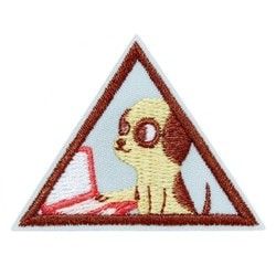 Brownie Cybersecurity Basics Badge