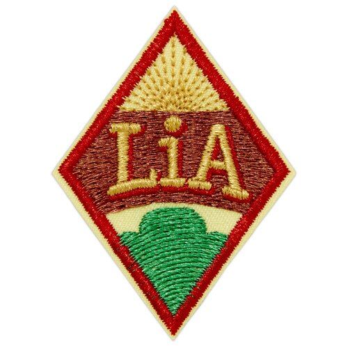 Cadette Leader In Action (LiA) Journey Award